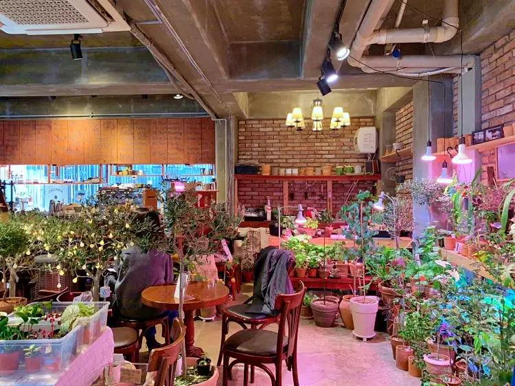 맛있는녀석들 제386회 식물성 버터와 딸기쨈 스콘, 바닐라 아이스크림 아포카토 디저트 맛있는 반려식물 식물원 가드닝 카페 파주 헤이리 맛집 추천 소개