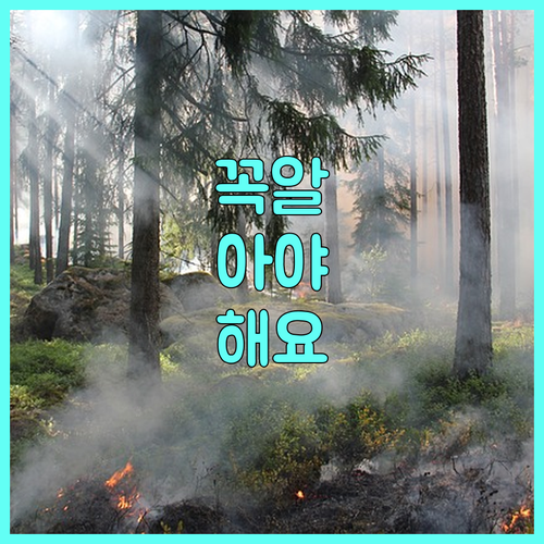 피부 탄력 고민? 리프팅 통증 없이