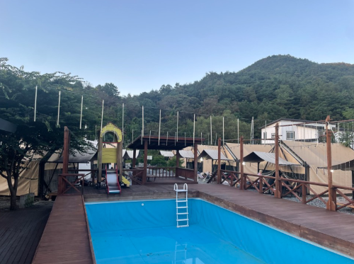 강아지 동반 여행지 추천