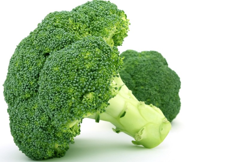 브로콜리 효능|종류|제철|데치기|브로콜리 보관|씻는법|먹는방법