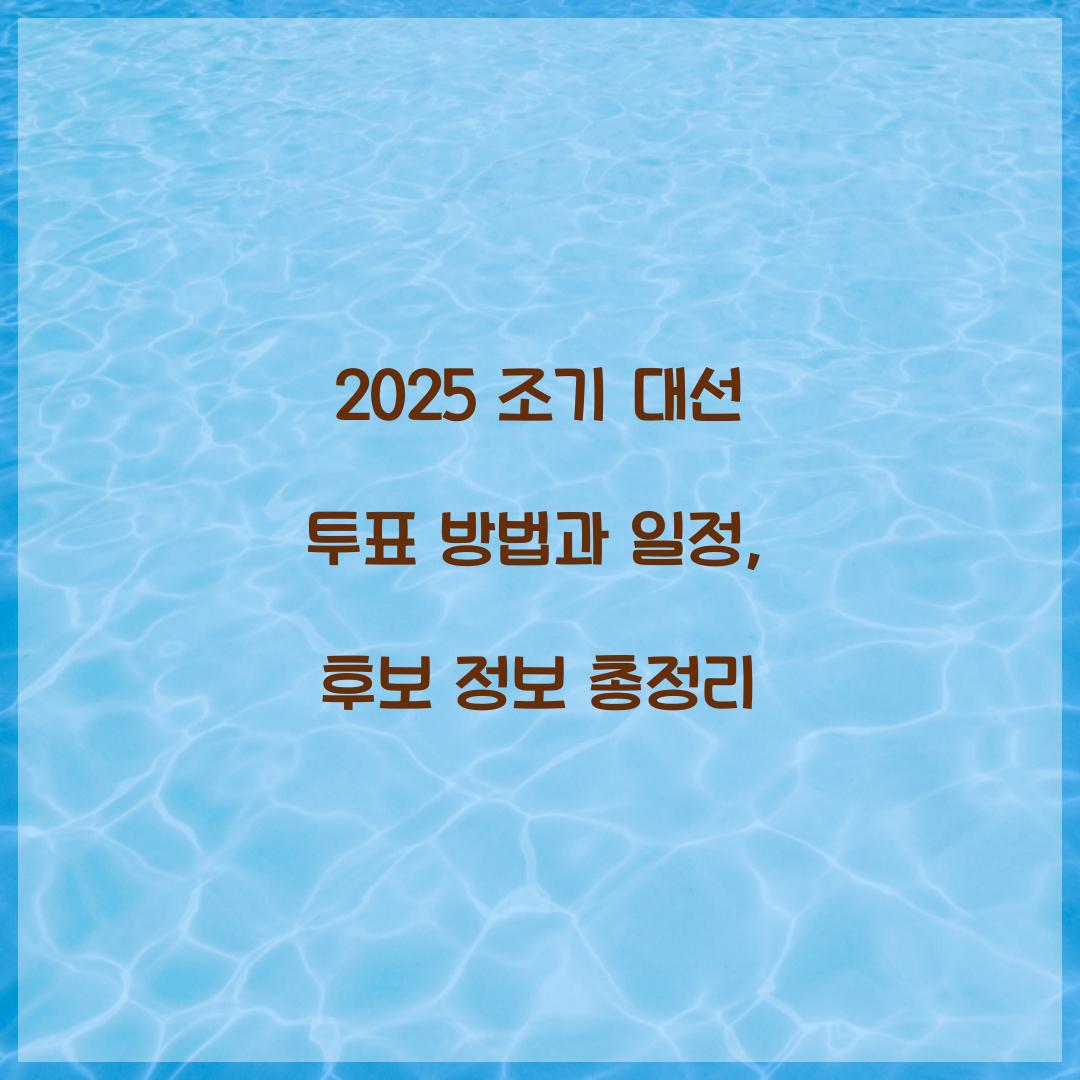 2025 조기 대선 투표