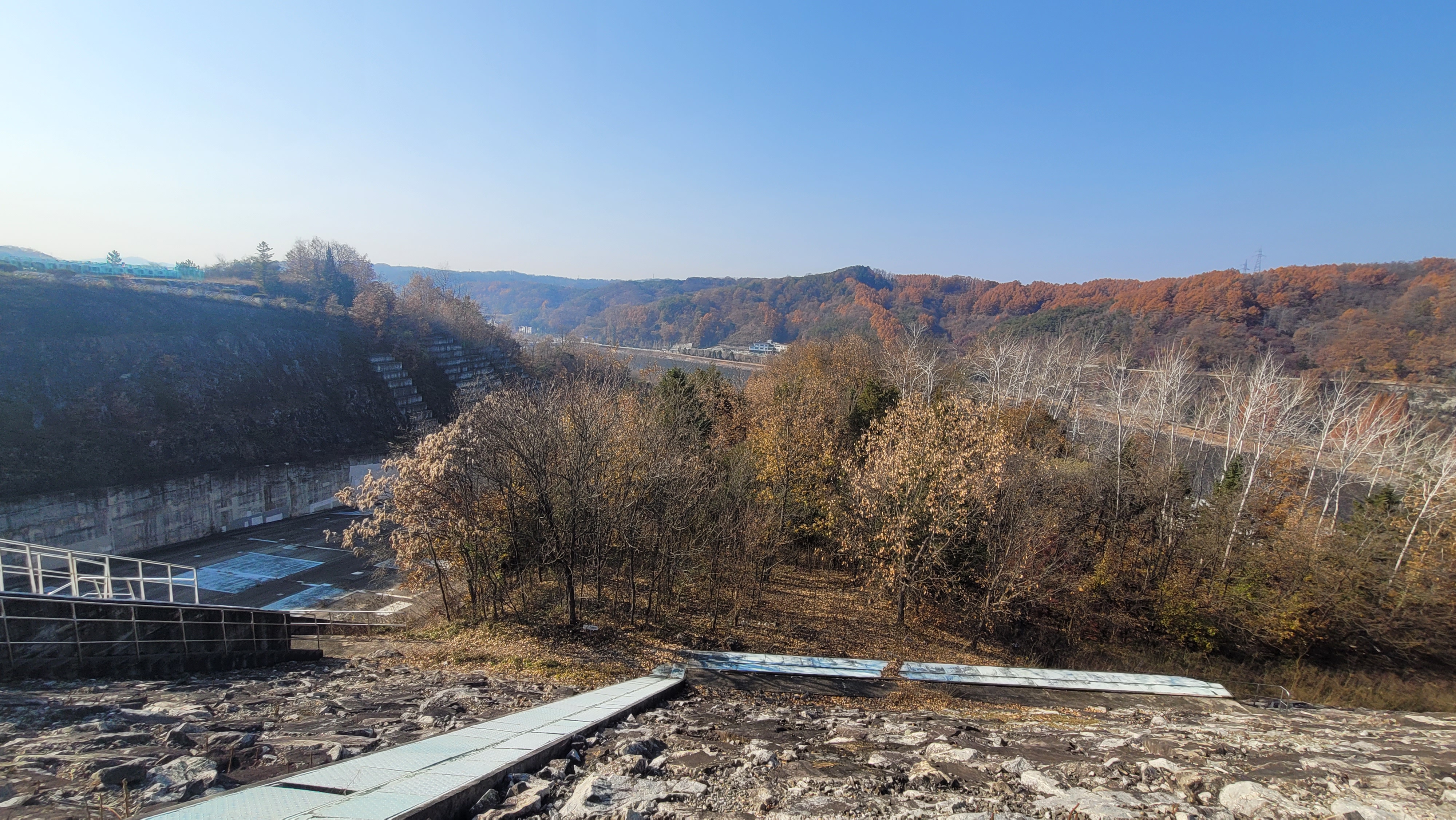 안동댐 조류서식지