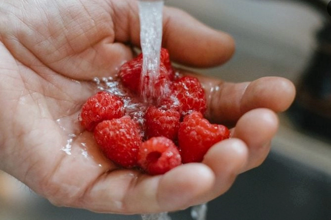 산딸기 세척 곰팡이 제거 방법