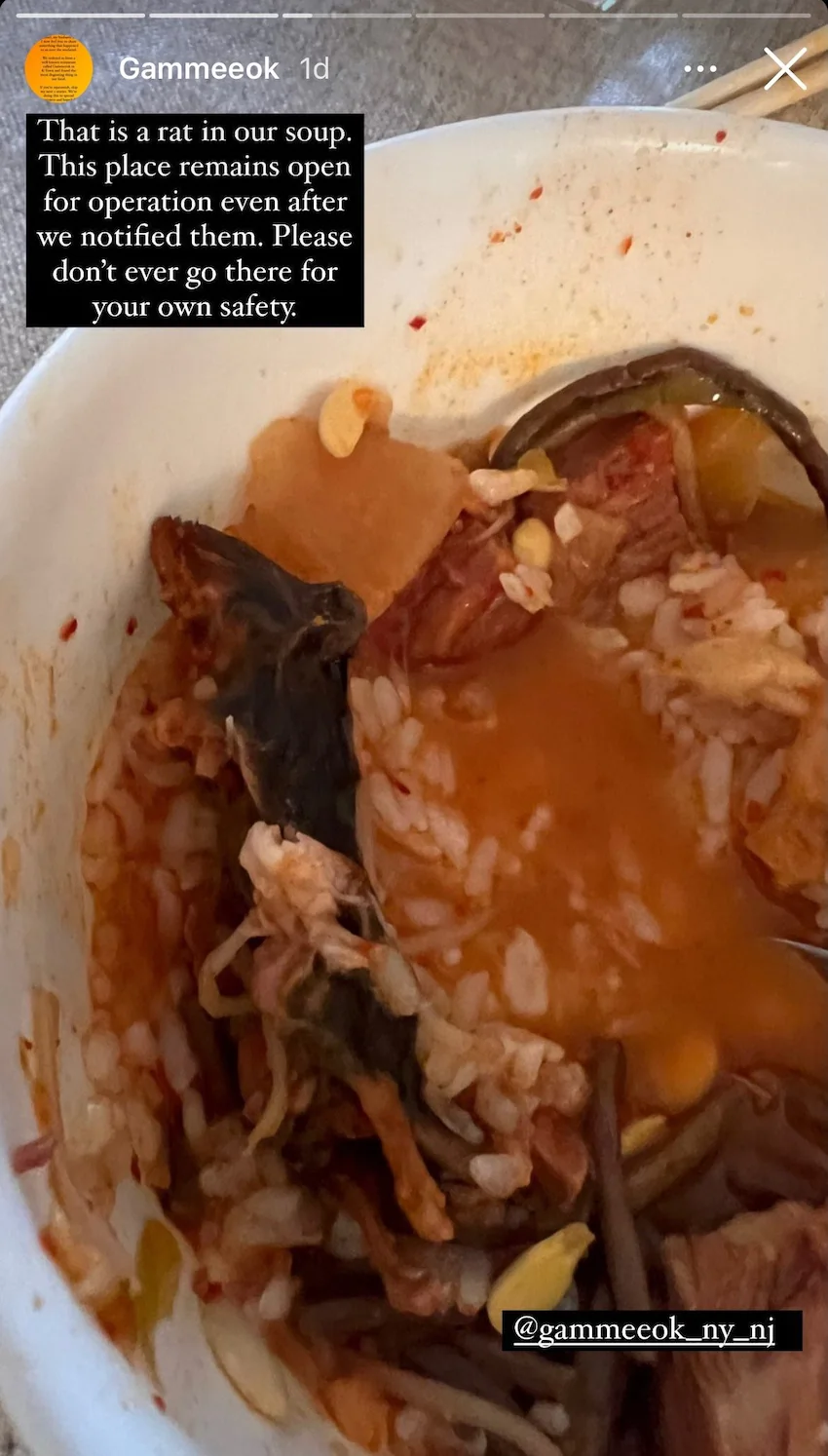 뉴욕 한식당 감미옥 음식에서 쥐가 나옴