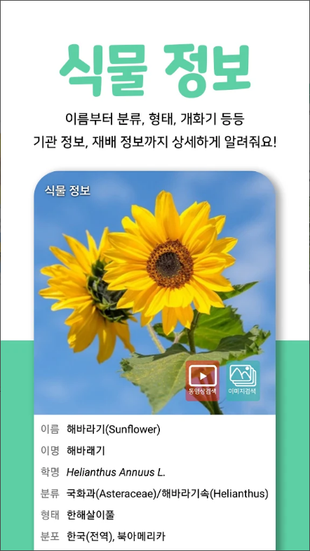 왓캠, 꽃 이름 찾기 어플, 꽃 식별 하기, 식물 이름 찾기