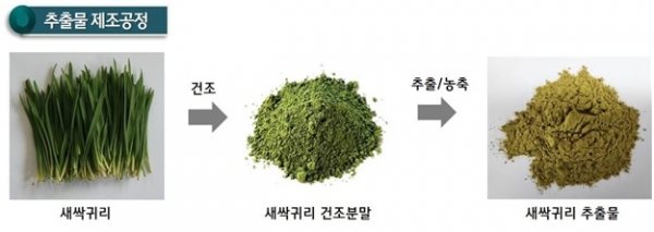새싹귀리 제조공정[이미지 농촌진흥청]