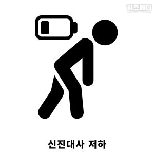 빈혈 원인 만성 질환