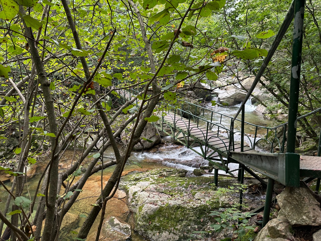 유명산 자연휴양림