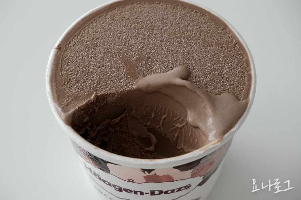 하겐다즈 하겐다즈초콜릿 초코아이스크림 초코디저트 초콜릿디저트 다크초코 다크초콜릿 초콜릿 다크초코아이스크림 다크초콜릿가나슈앤아몬드 내돈내산 내돈내산리뷰 아이스크림리뷰 아이스크림추천 하겐다즈추천 간식 간식추천