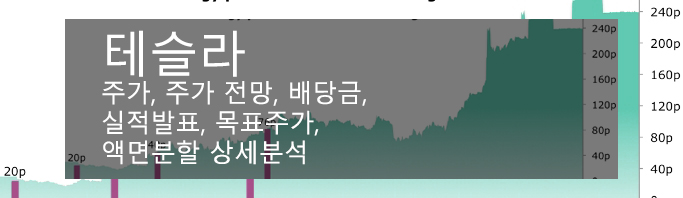 테슬라 주가, 주가 전망, 배당금, 실적발표, 목표주가, 액면분할 상세분석
