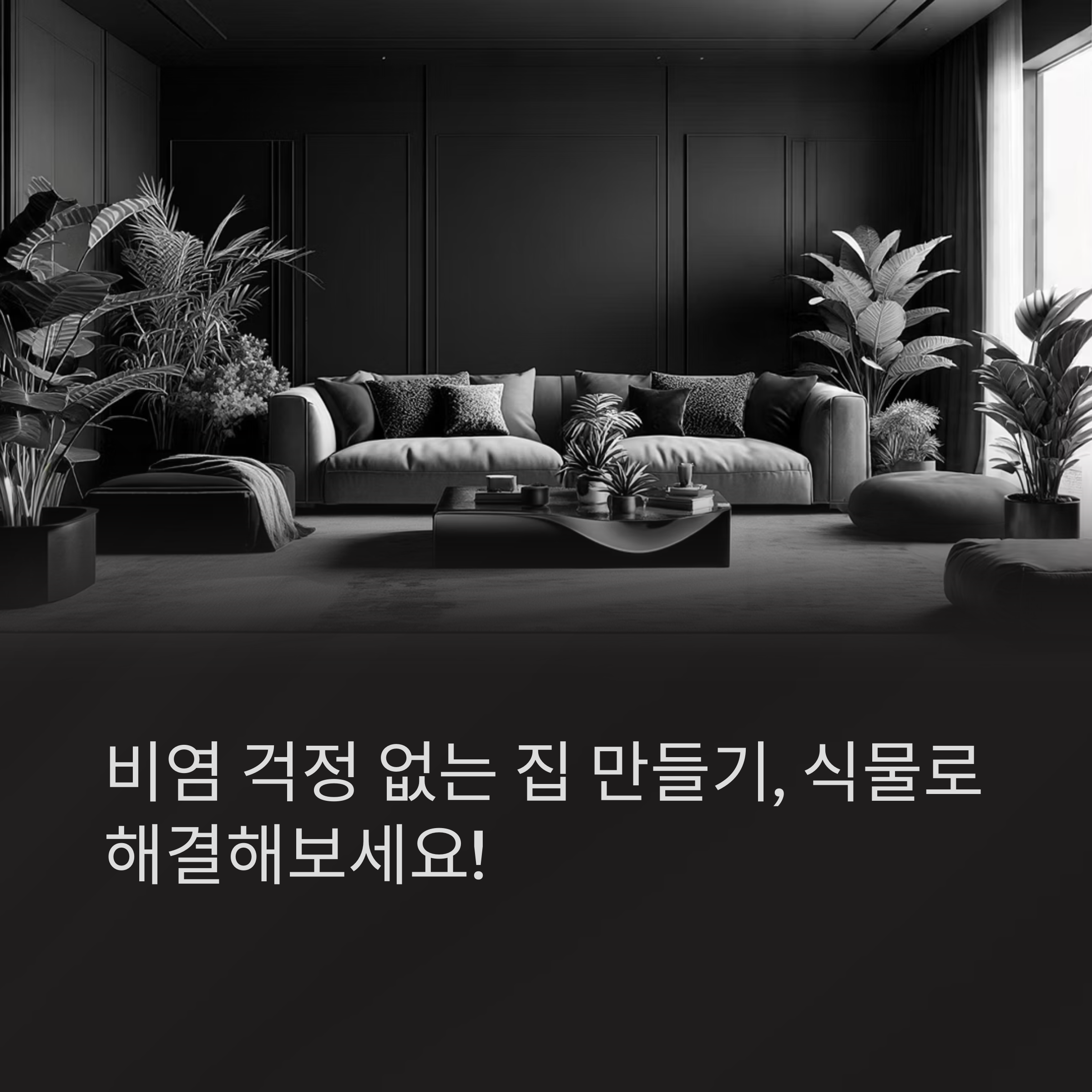 실내 식물 추천 7선
