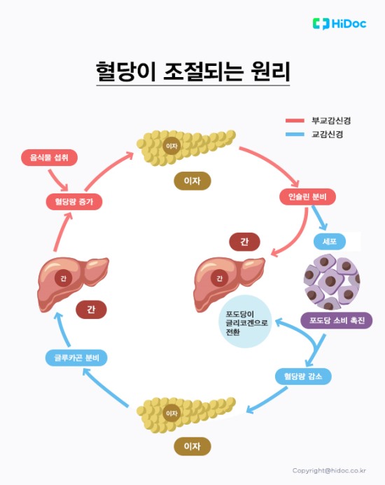 혈당 관리 식단표 + 추천 음식 TOP 10