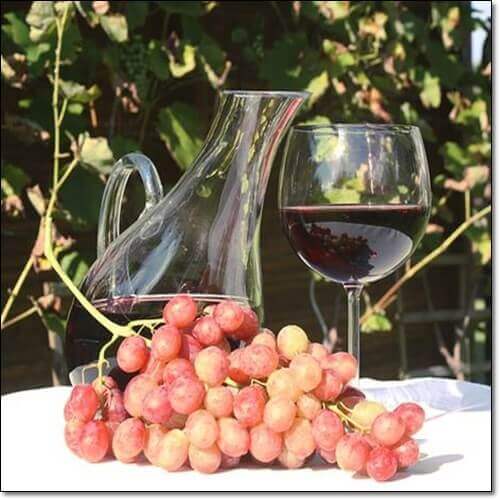 레스베라트롤 음식