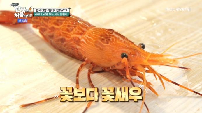 꽃새우