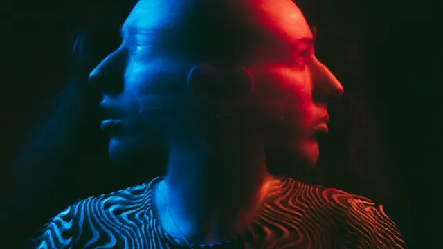 한 감각으로 집중될 때 몸이 선택하는 전략｜환경 자극과 감각 배분의 원리