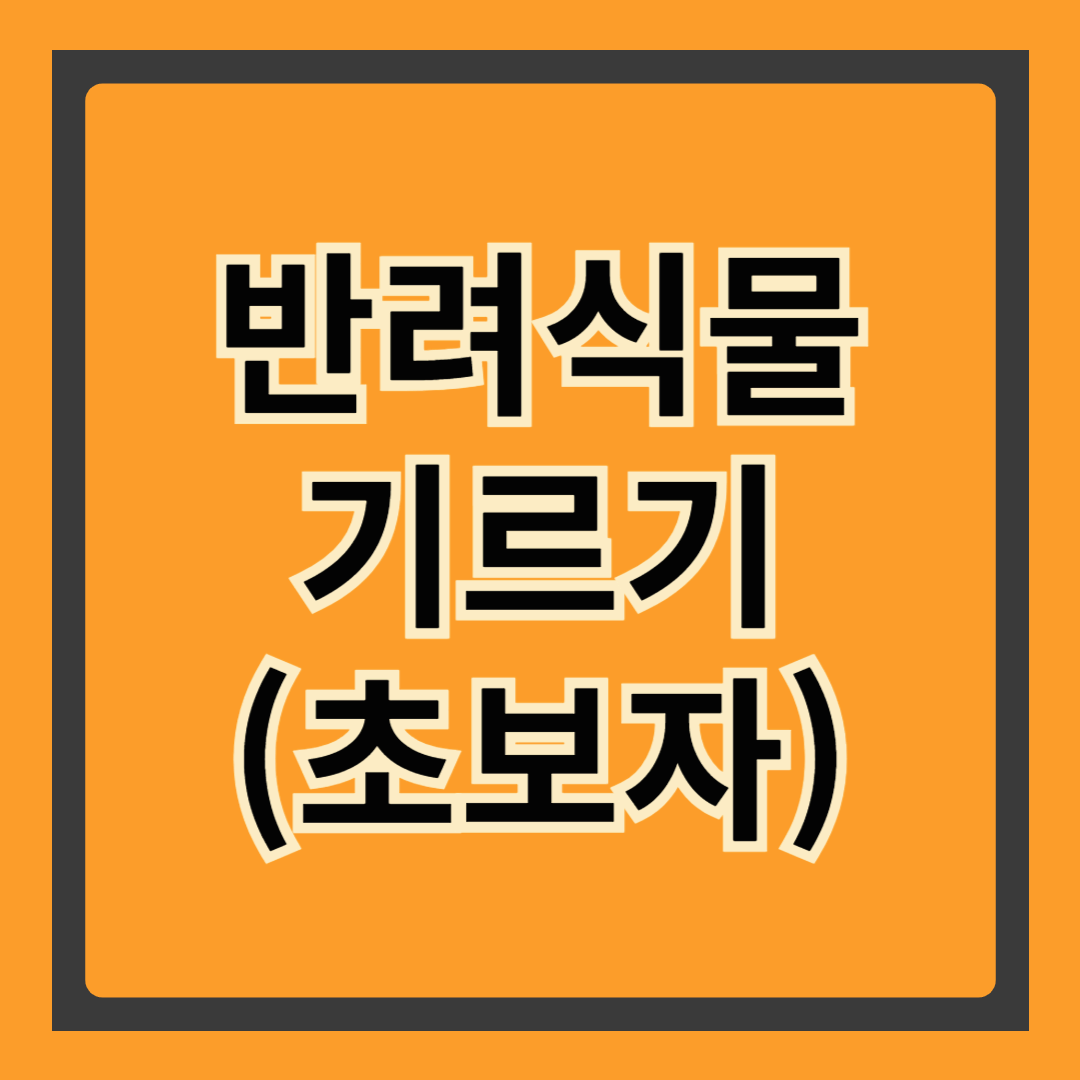 반려식물 기르기