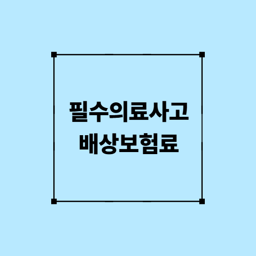 필수의료사고 배상보험료