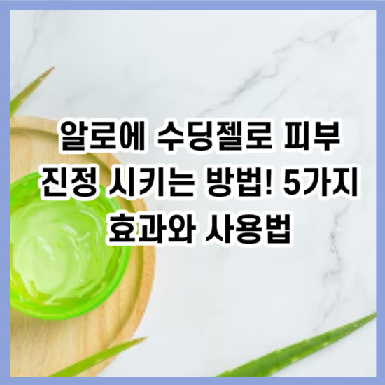 알로에 수딩젤로 피부 진정 시키는 방법! 5가지 효과와 사용법