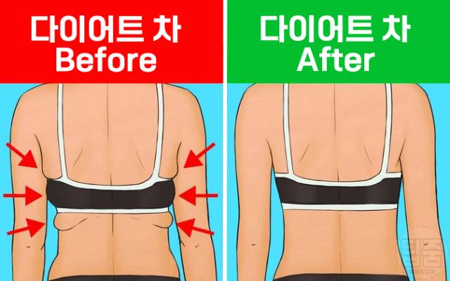 다이어트에 좋은 차 살빼는차 다이어트차 추천
