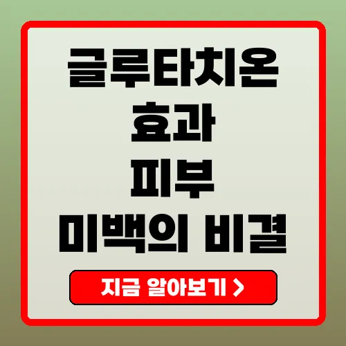 글루타치온의 주요 효능과 올바른 섭취 방법