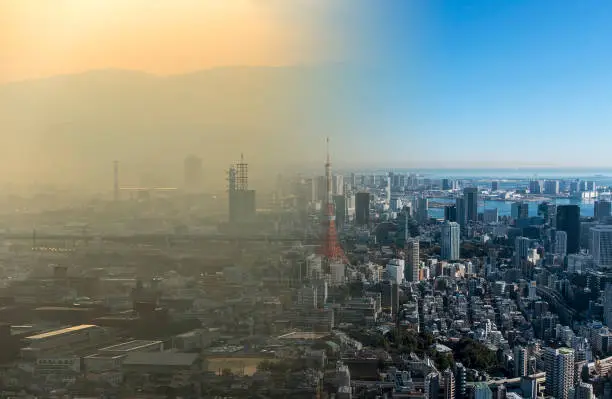 미세먼지