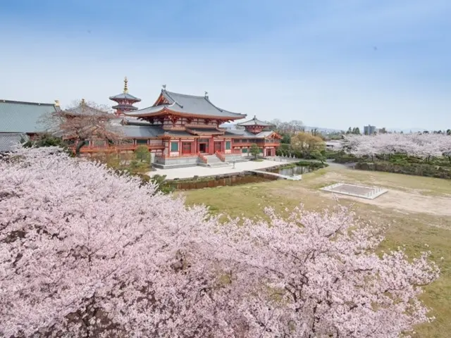 염법진교 총본산 금강사 (念法眞教 総本山 金剛寺)