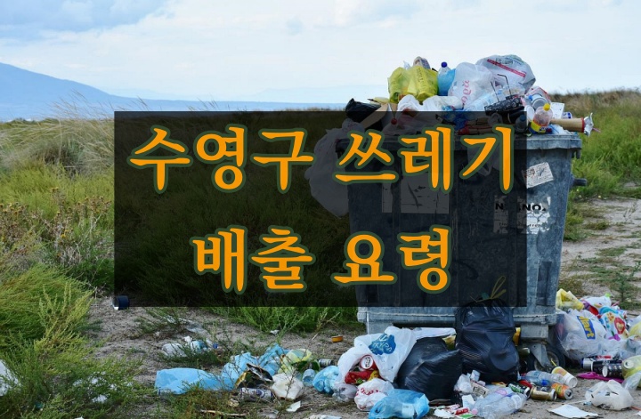 수영구 쓰레기 배출 요령