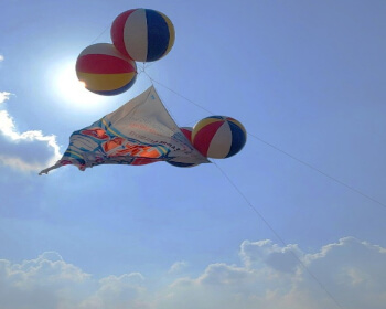 이천 쌀 문화축제