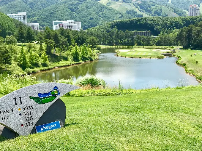 강원도 휘닉스파크 CC 골프장 소개 및 예약방법