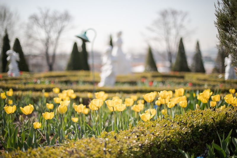 퍼스트-가든-봄꽃-축제