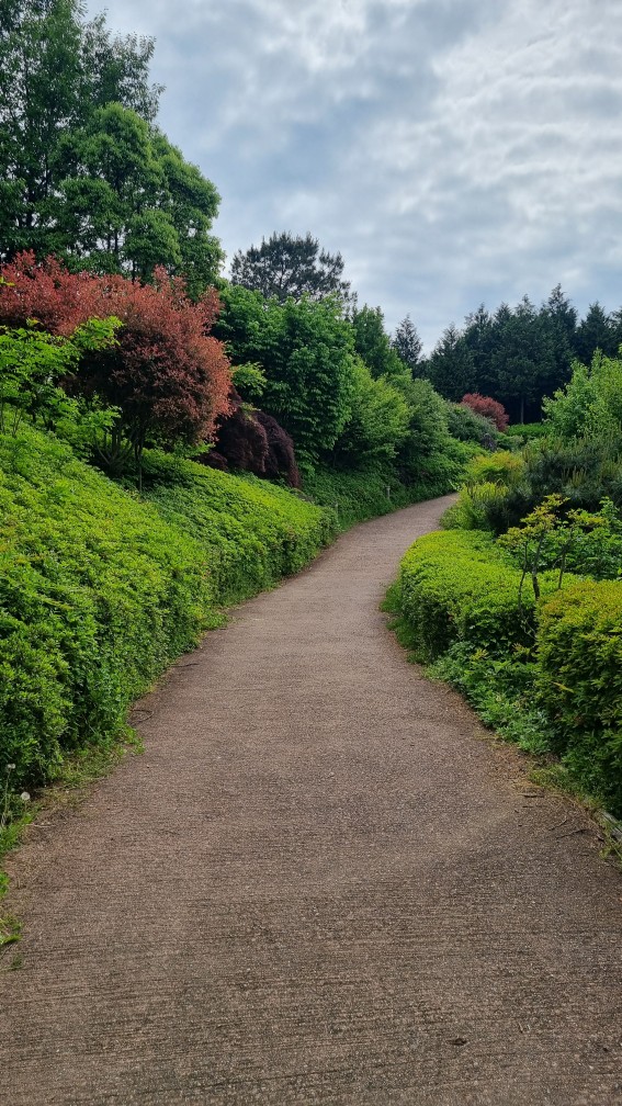 순천만국가정원 서문 전망대