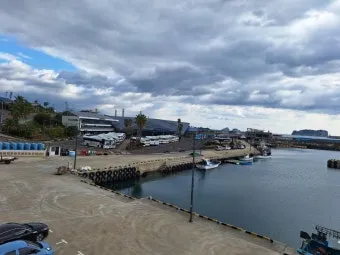 제주 강정항 출발 크루즈 여행 비용 예약 예매_28