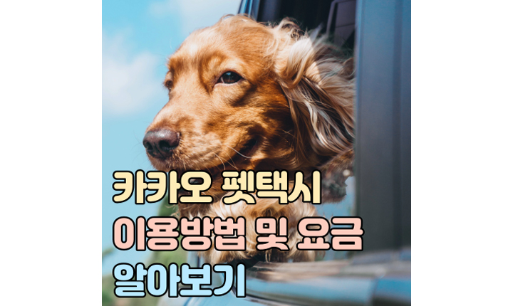 카카오 펫택시 이용방법 요금 썸네일