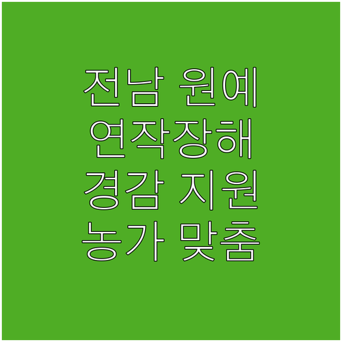 2025 전남 원예 농가 맞춤 연작장..