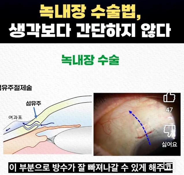 명의-박찬기-교수