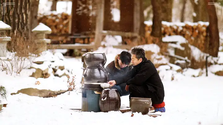 동네한바퀴 전통주 양조장 소나무 관솔로 빚은 보은 송로주 명인