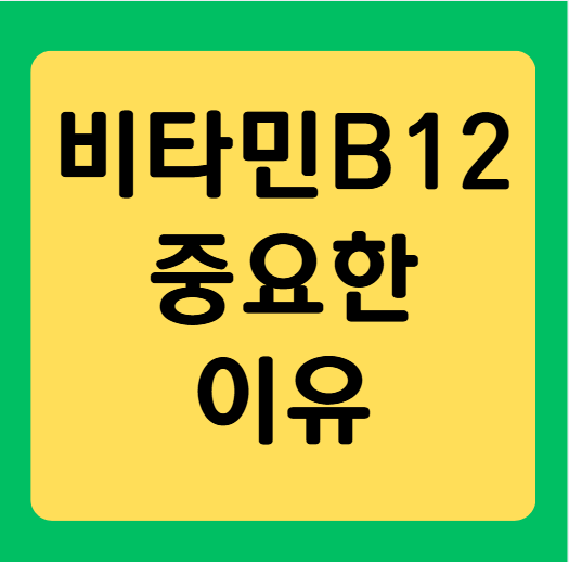 비타민 B12, 공부&middot;체력&middot;집중력에 왜 중요할까? (쉬운 가이드)