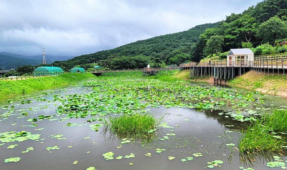 양산 가볼만한곳 - 법기수원지