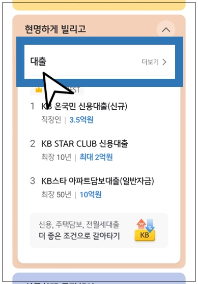 보성군-개인사업자대출-step2-대출-메뉴선택