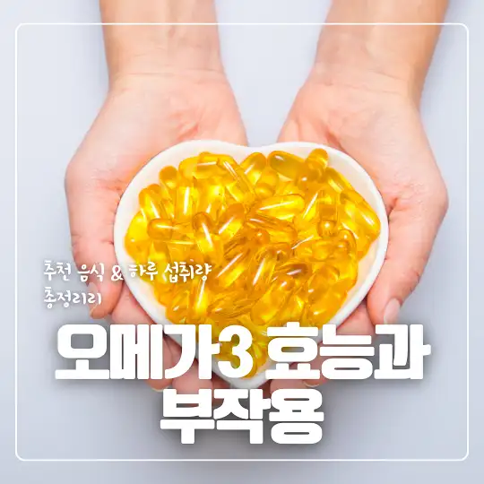 오메가3 효능과 부작용