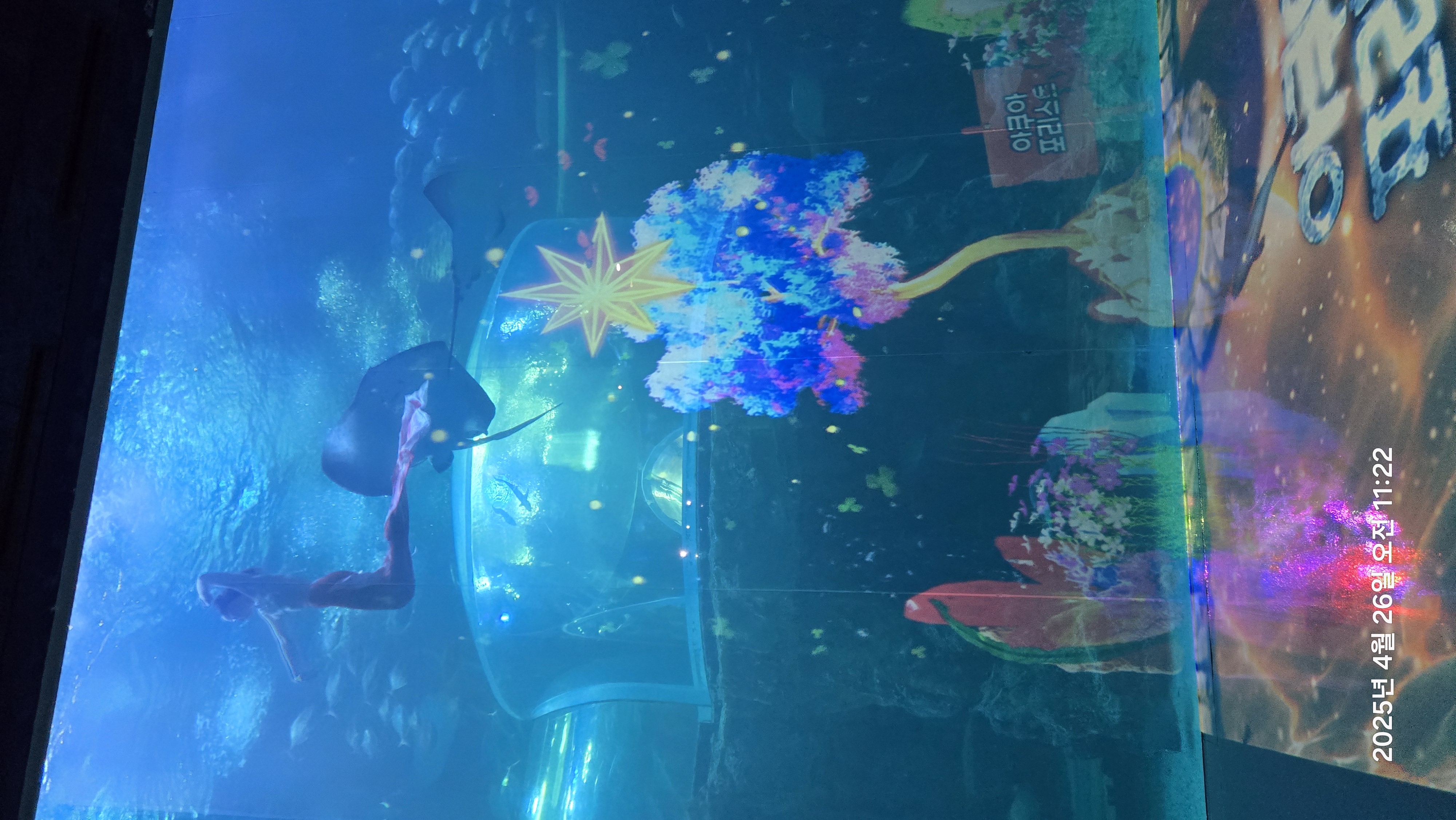 아쿠아플라닛 내부