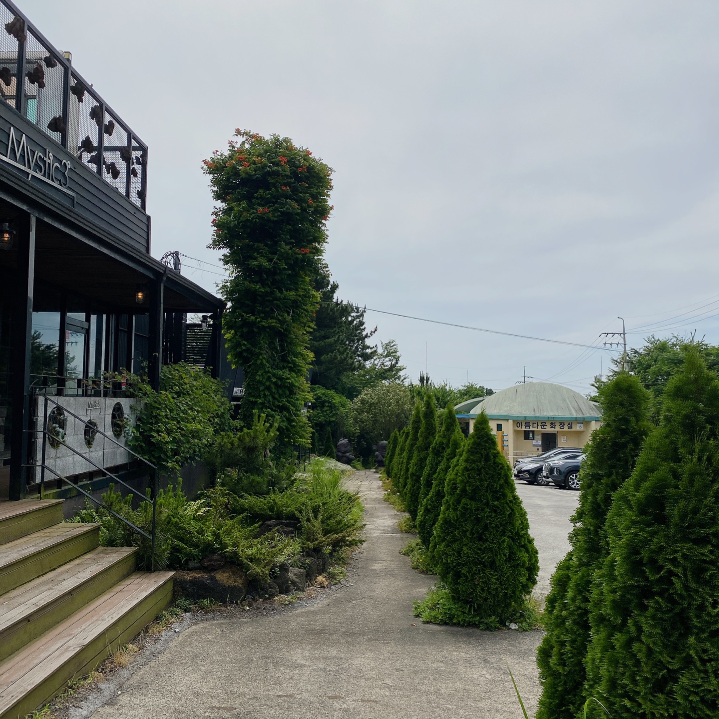 제주 노형동 러브랜드 정원카페 미스틱3도 피크닉 한라봉 흑돼지