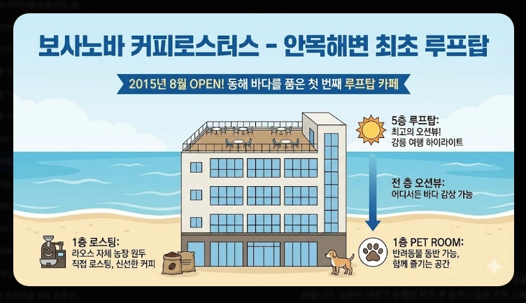 강릉 맛집 안목해변 커피거리 베스트 5 (2026 최신)