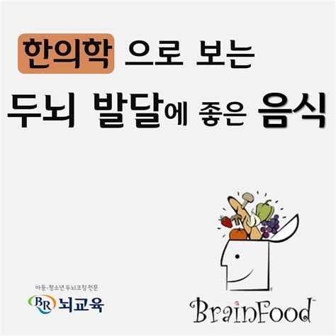 뇌교육