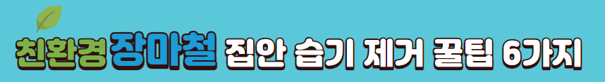 친환경-장마철-집안습기제거-방법