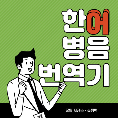 한어병음 번역기 사용법
