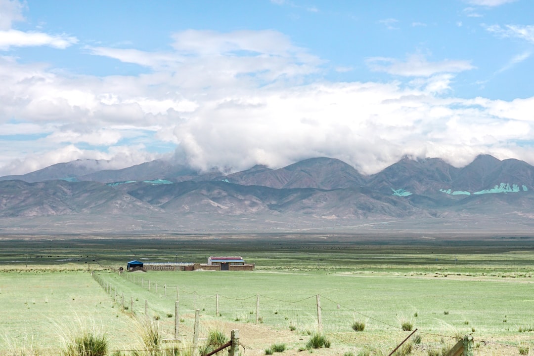 Qinghai