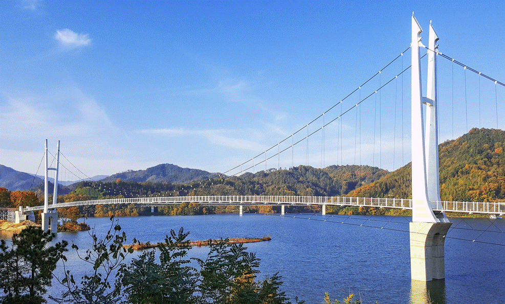 김천부항댐 출렁다리 사진