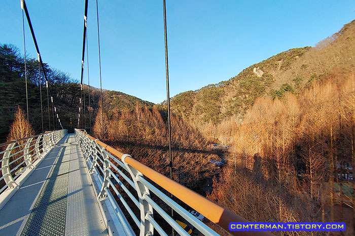 장태산 자연휴양림 출렁다리 경치