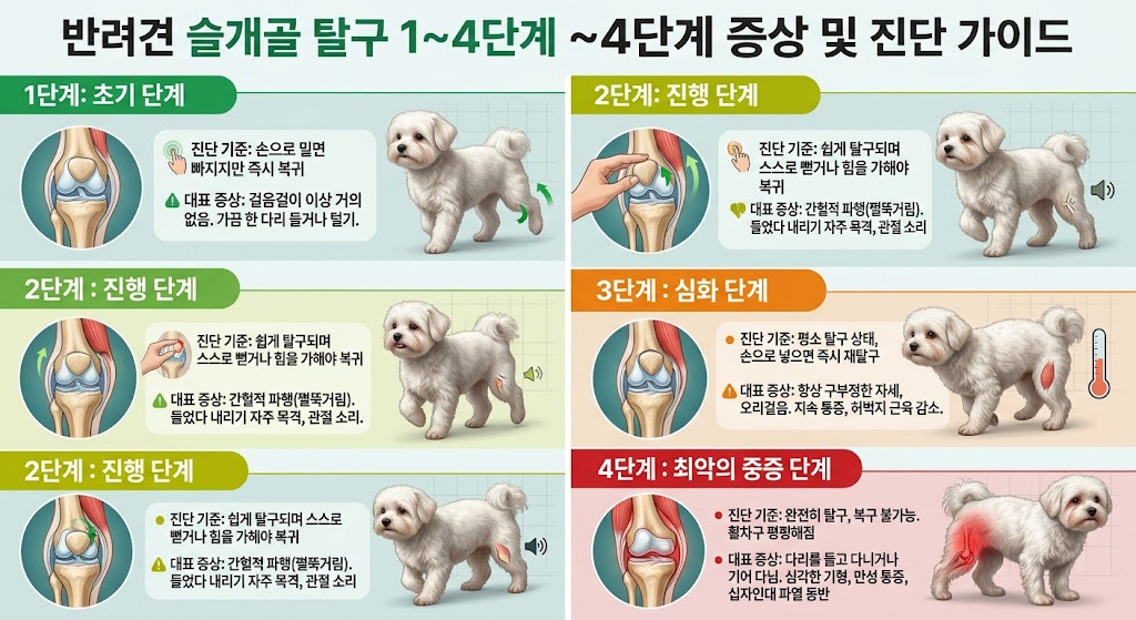 강아지쓸개구 관리방법